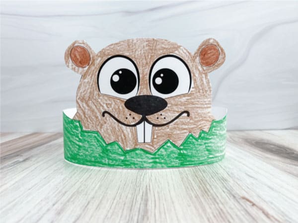 groundhog's day headband