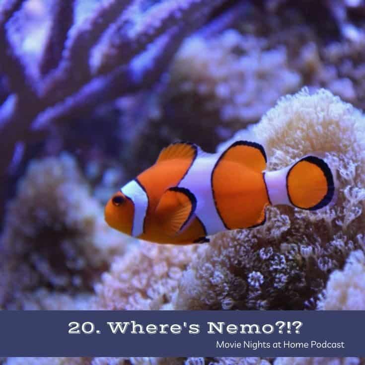 Nemo fish swimming