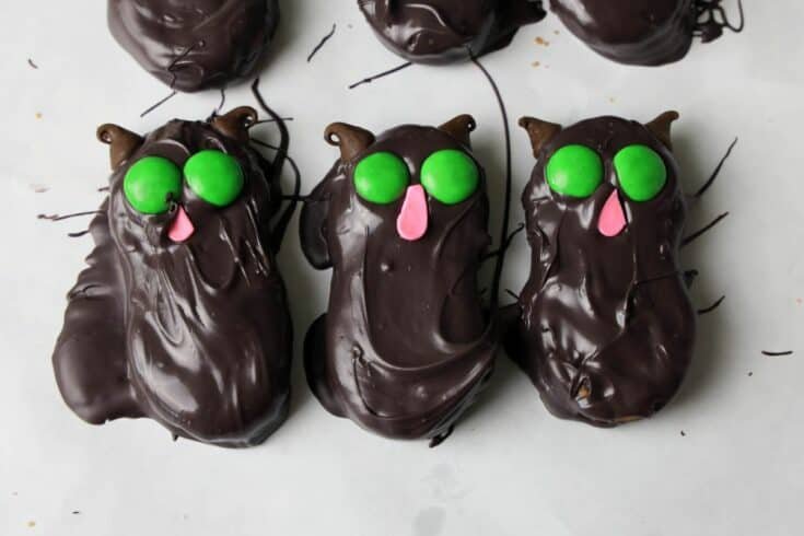 Hocus Pocus Cookies: No-Bake Binx Black Cat Cookies