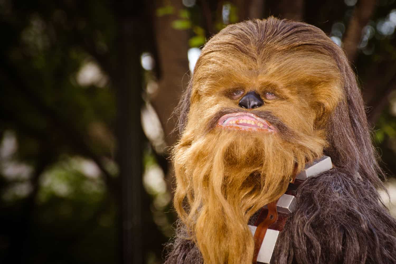 a person dressed up like chewbacca - deposit photos